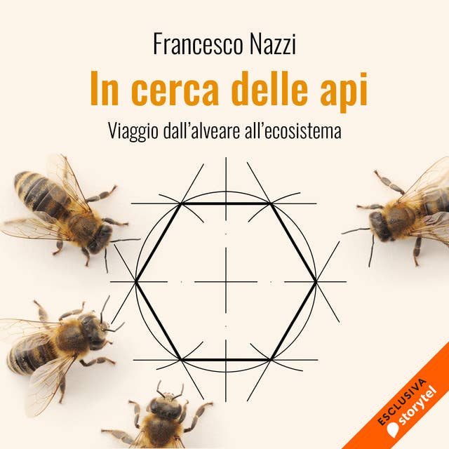 In cerca delle api