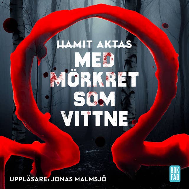 Med mörkret som vittne 