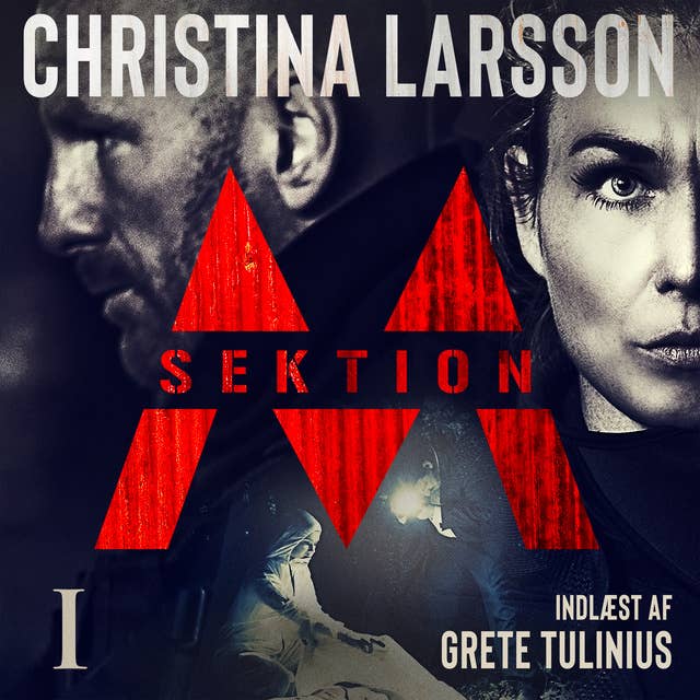 Sektion M I