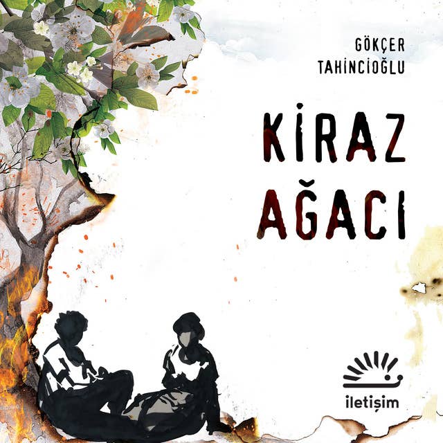 Kiraz Ağacı