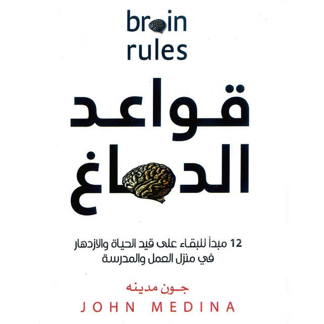 قواعد الدماغ
