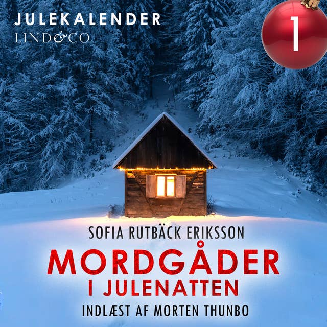 Cover for Mordgåder i julenatten