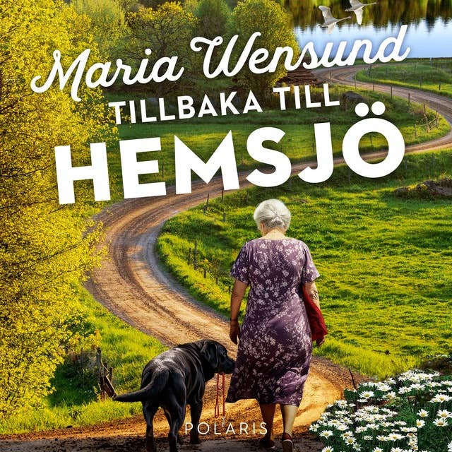 Tillbaka till Hemsjö by Maria Wensund