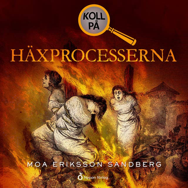 Cover for Koll på häxprocesserna