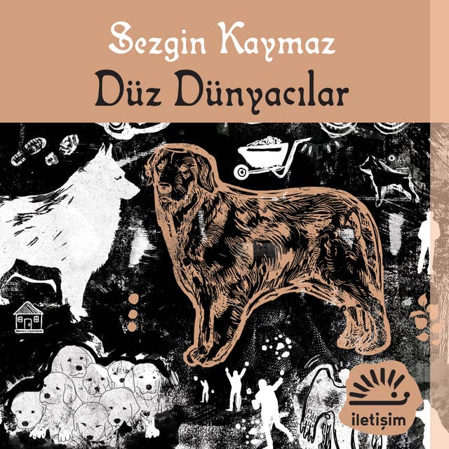 Düz Dünyacılar