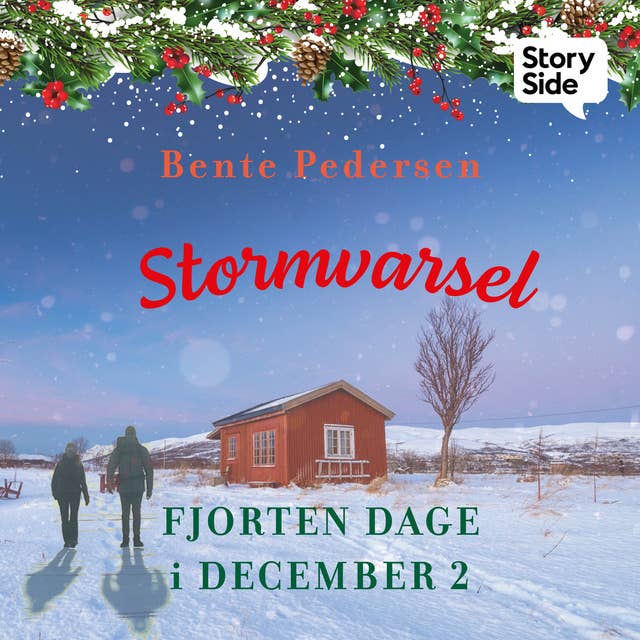 Cover for Stormvarsel