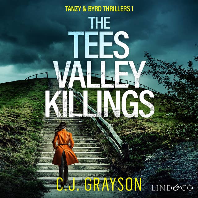 The Tees Valley Killings