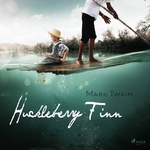 Cover for Huckleberry Finn