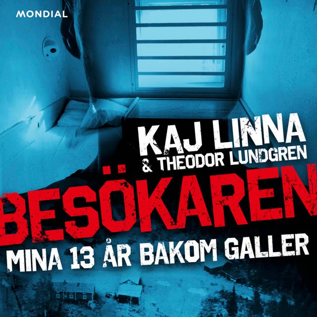 Besökaren : mina 13 år bakom galler