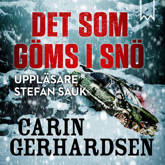 Det som göms i snö by Carin Gerhardsen