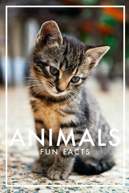 Animals Fun Facts