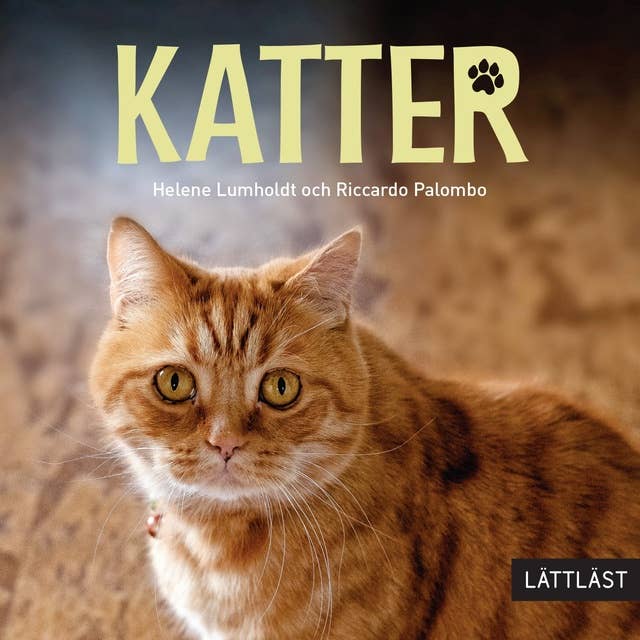 Cover for Katter / Lättläst