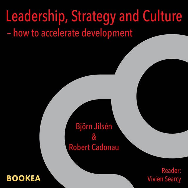 Leadership, strategy and culture : how to accelerate development