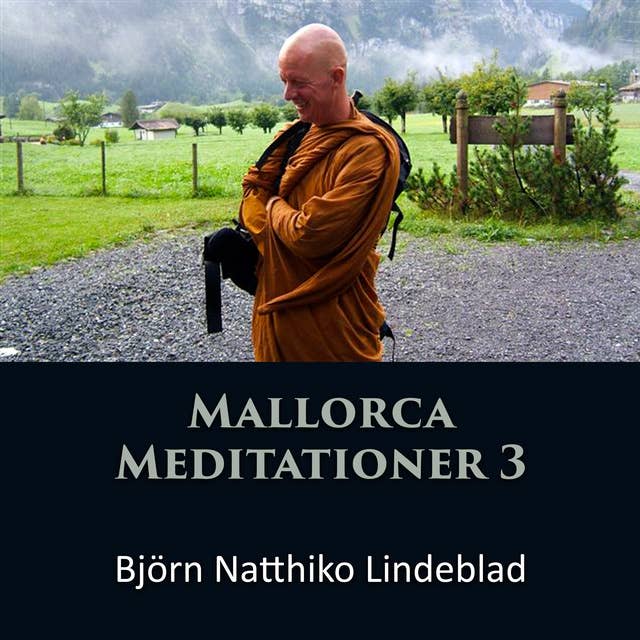 Mallorca Meditationer 3