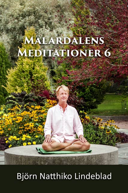 Mälardalens Meditationer 6