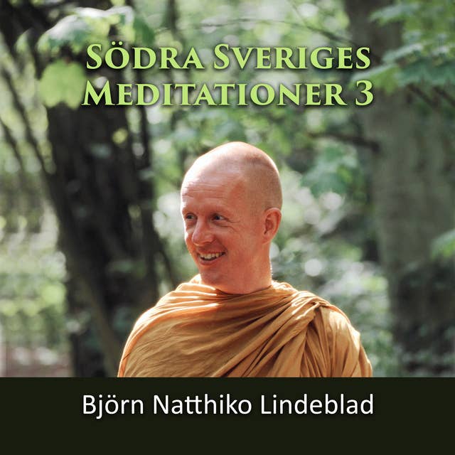 Södra Sverige Meditationer 3