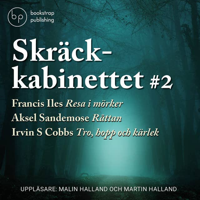 Cover for Skräckkabinettet vol 2. : Resa i mörkret och andra berättelser