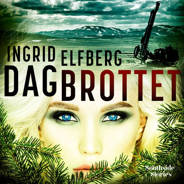 Cover for Dagbrottet
