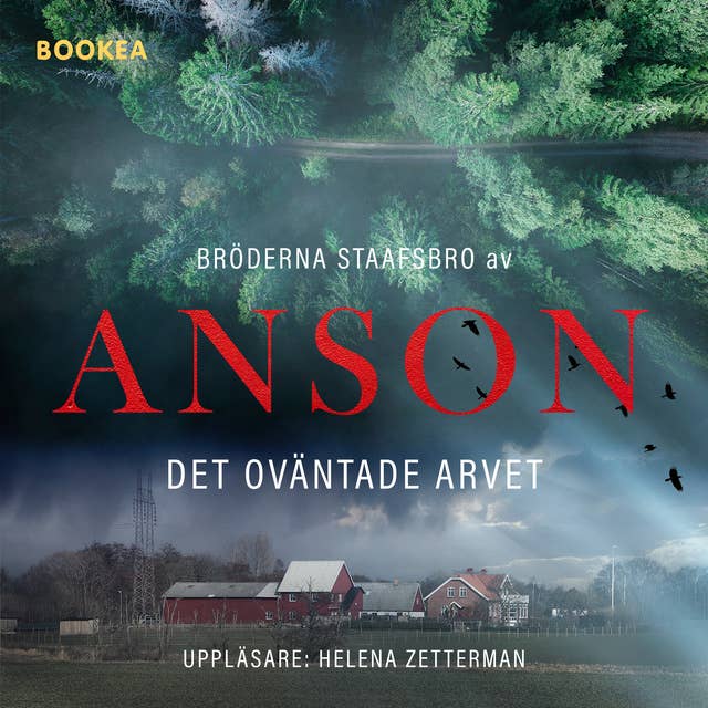 Bröderna Staafsbro: Det oväntade arvet