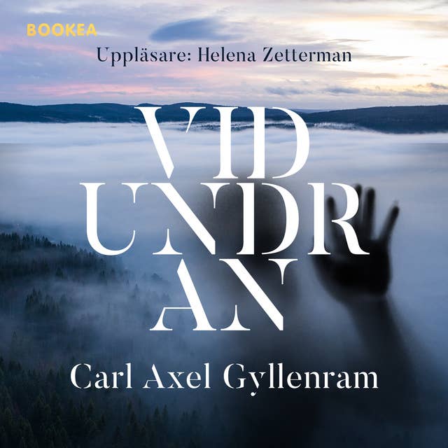 Cover for Vidundran
