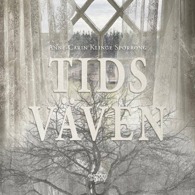 Cover for Tidsväven