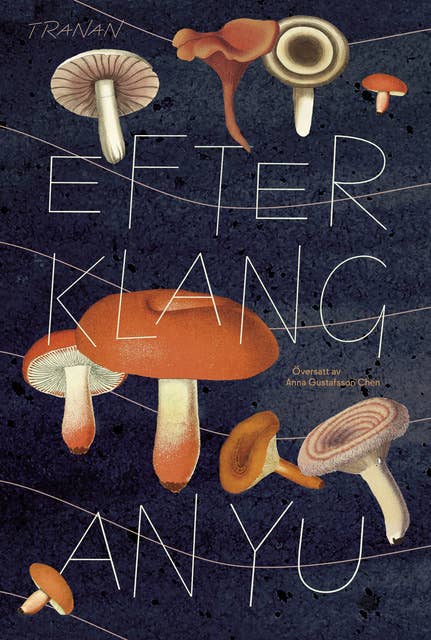 Efterklang 