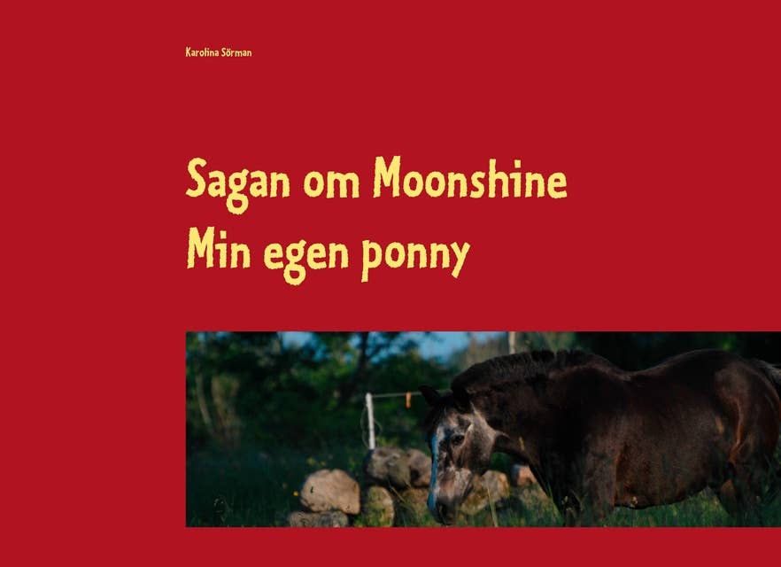 Sagan om Moonshine: Min egen ponny