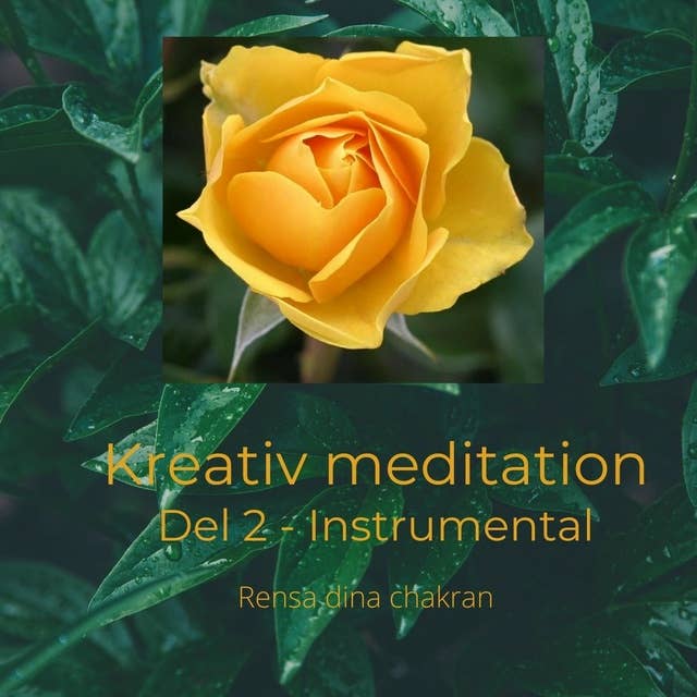 Kreativ meditation del 2 : Instrumental