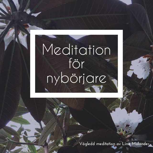 Meditation för nybörjare