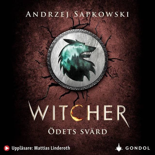 Ödets svärd : berättelser om Geralt av Rivia by Andrzej Sapkowski