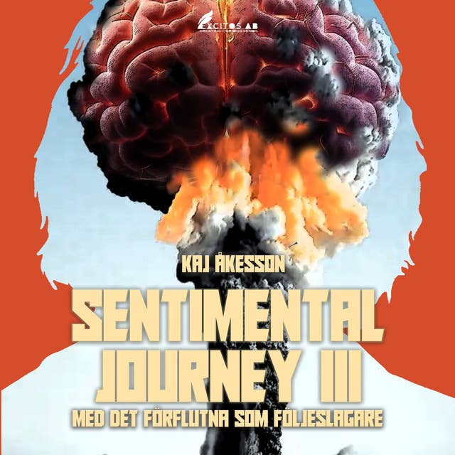 Sentimental Journey III : Med det förflutna som följeslagare