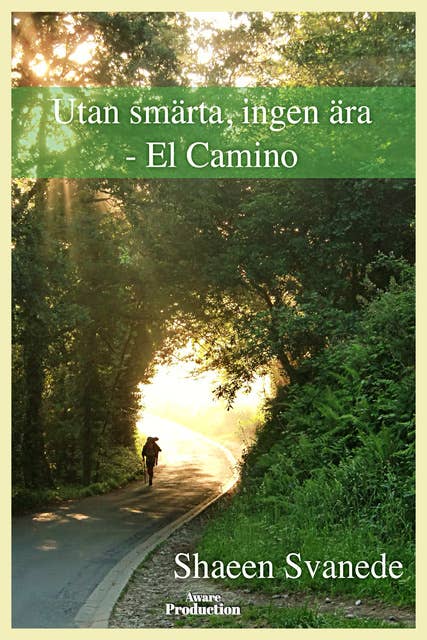 Utan smärta, ingen ära – el Camino
