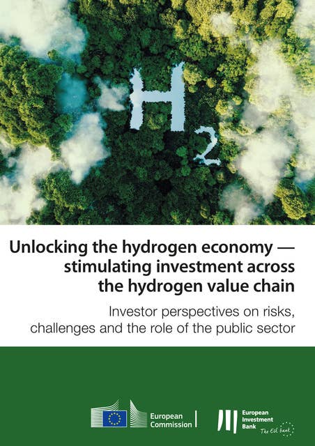 Unlocking the hydrogen economy — stimulating investment across the hydrogen value chain: Investor perspectives on risks, challenges and the role of the public sector