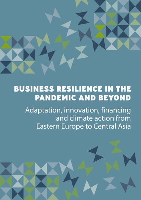 Business Resilience in the Pandemic and Beyond: Adaptation, innovation, financing and climate action from Eastern Europe to Central Asia