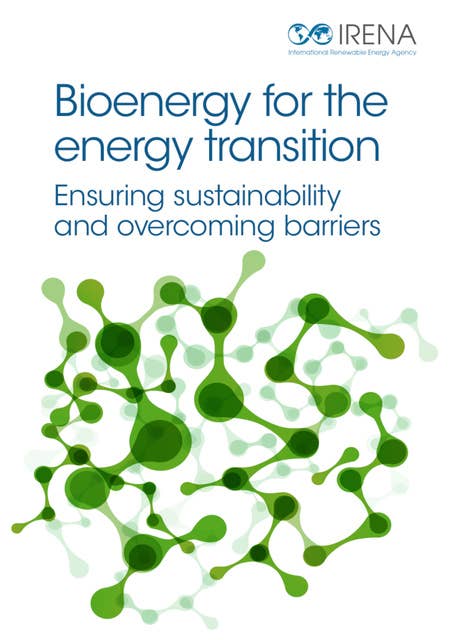 Bioenergy for the Energy Transition: Ensuring Sustainability and Overcoming Barriers