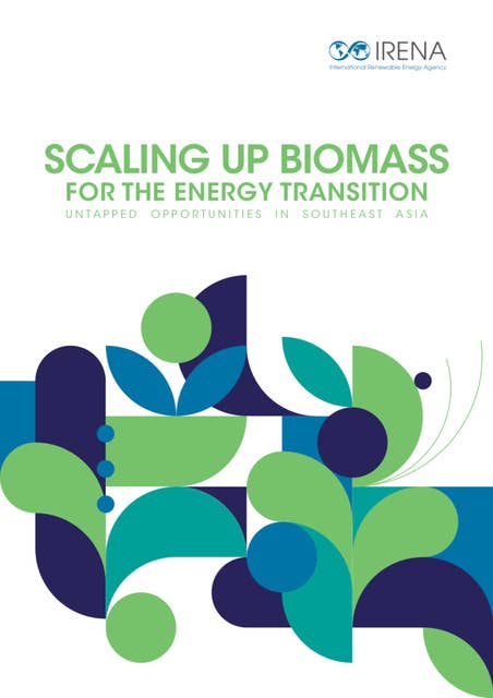 Scaling up biomass for the energy transition: Untapped opportunities in Southeast Asia