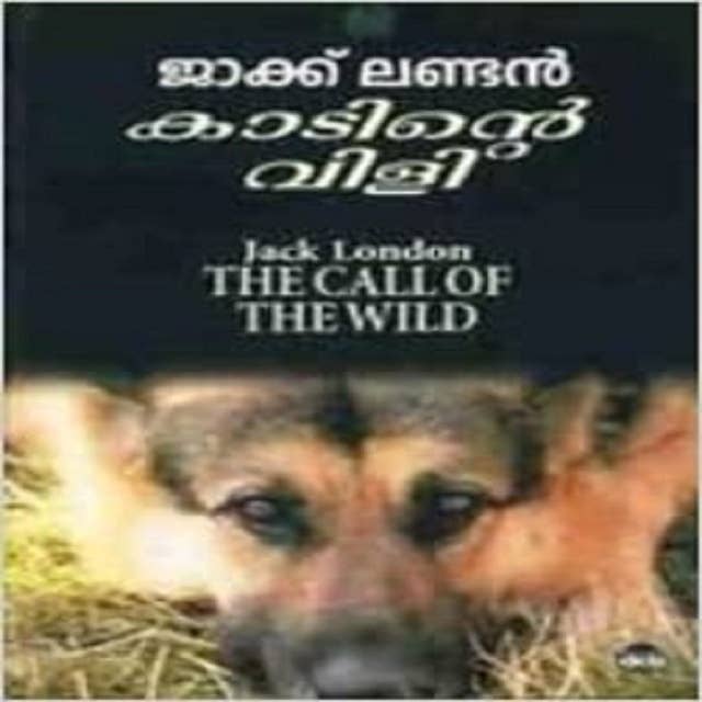 VISWASAHITHYAMALA-KADINTE VILI 