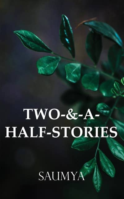 Two-&-A-Half-Stories