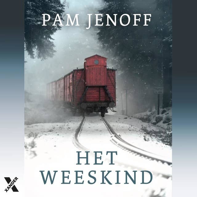 Cover for Het weeskind