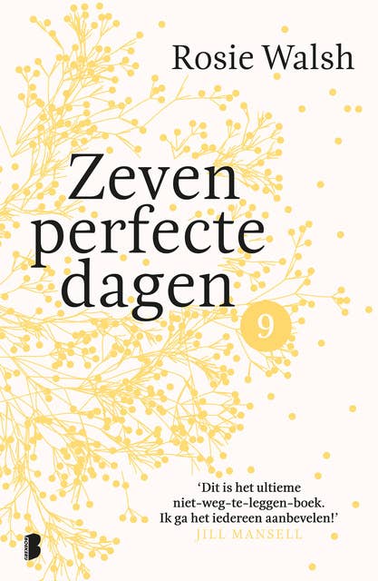 Zeven perfecte dagen - deel 9/10: Een heerlijke roman in 10 delen
