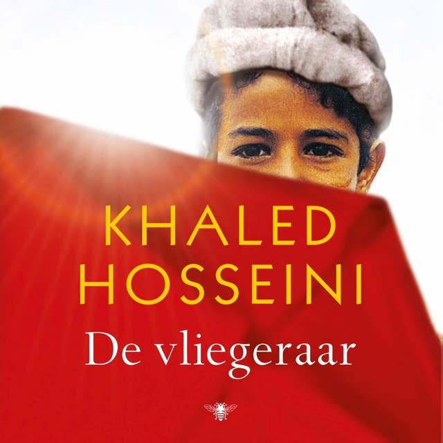 De vliegeraar