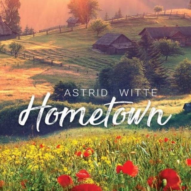 Hometown: Liefdesroman