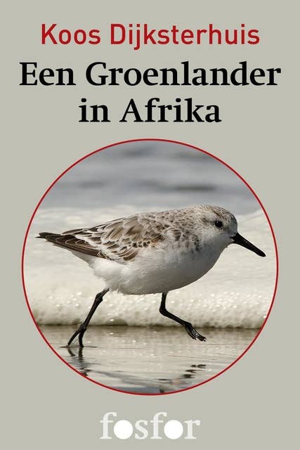 Een Groenlander in Afrika: de wonderbaarlijke reis van de drieteenstrandloper