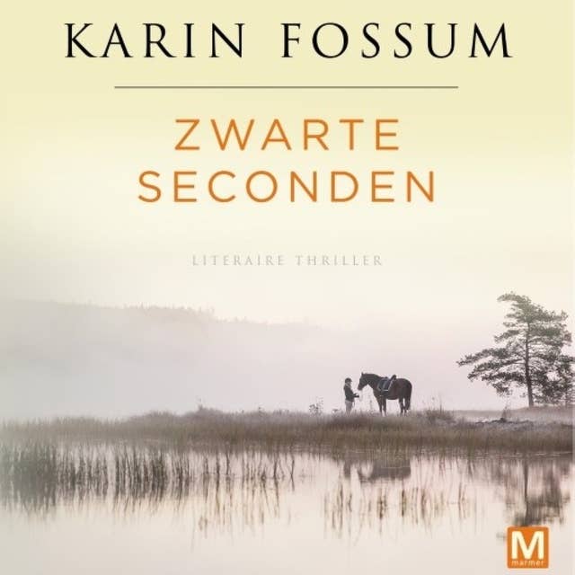 Cover for Zwarte seconden: Literaire thriller