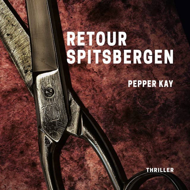 Retour Spitsbergen: Thriller