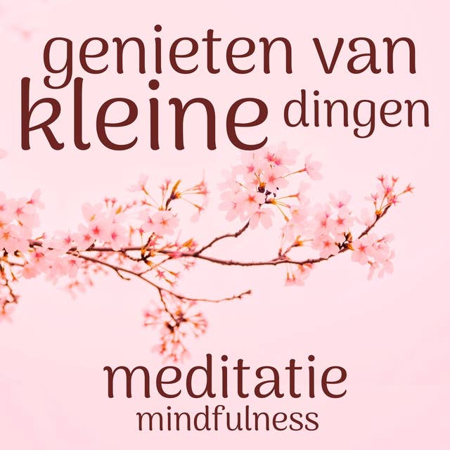 Genieten van de Kleine Dingen: Mindfulness Meditatie