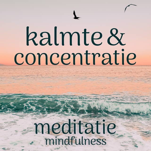 Kalmte en Concentratie: Mindfulness Meditatie