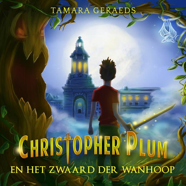 Cover for Het zwaard der wanhoop: Deel 1 van Christopher Plum