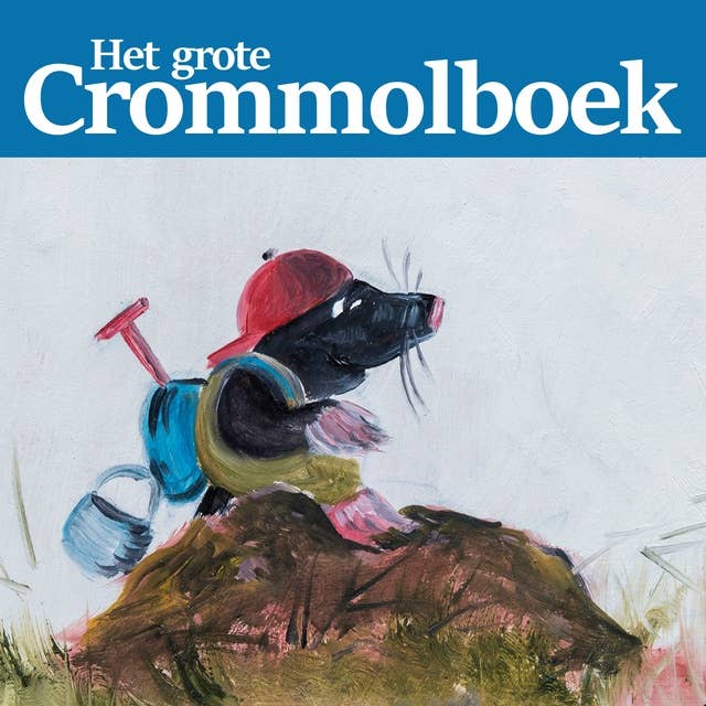 Cover for Het grote Crommolboek