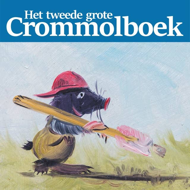 Cover for Het tweede grote Crommolboek